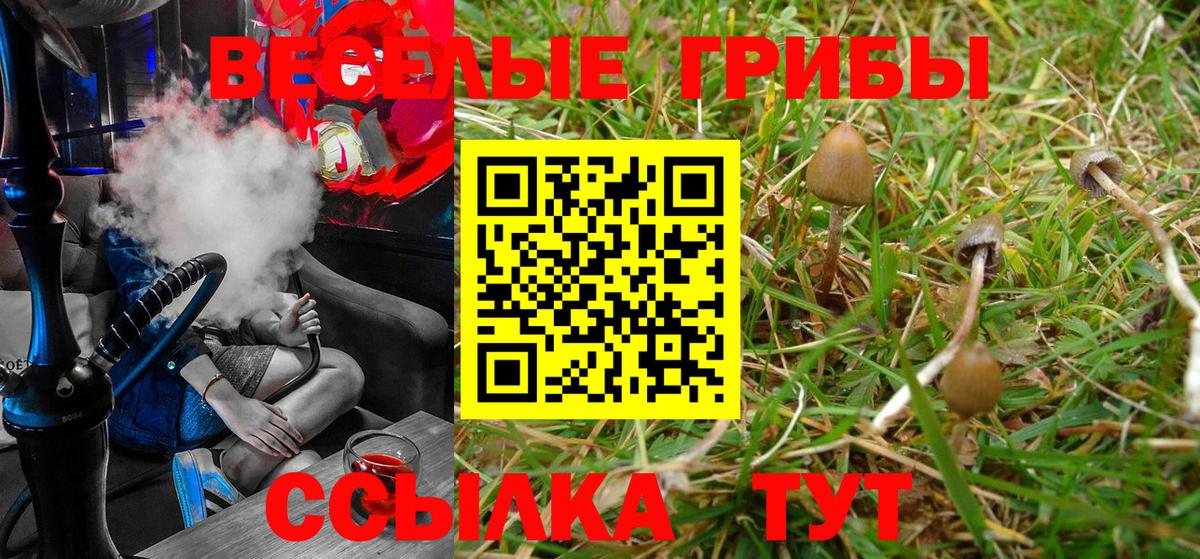 Галлюциногенные грибы Psilocybine cubensis  Вход с VPN  Лабытнанги 